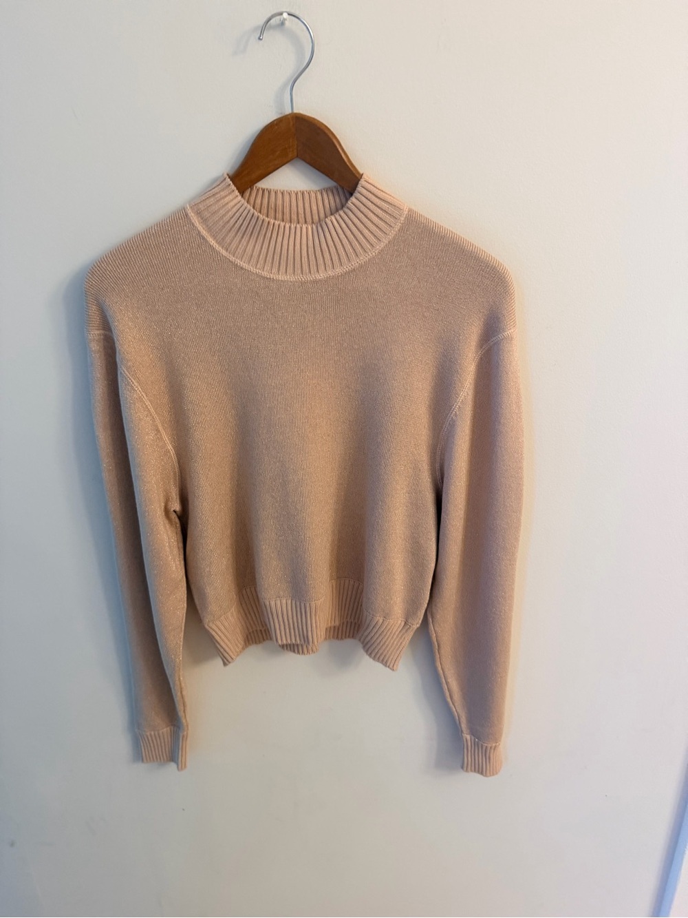 Free People Women’s Mock Neck Knit Sweater - Blush Pink with shimmer